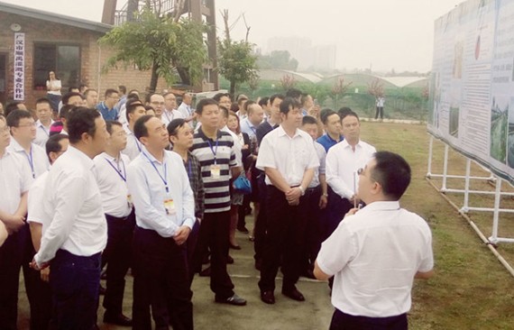 bevictor伟德官网节水集团加入四川省深化农村水利刷新现场会 - bevictor伟德官网新闻 - 新闻中心 - nbsp,刷新,农村,水利,四川省,bevictor伟德官网,节水,深化,试点