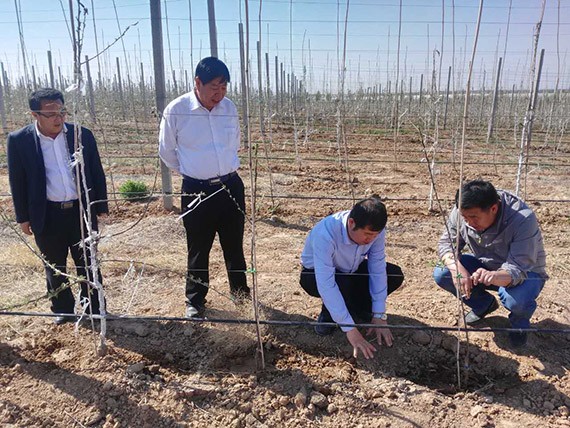 集团公司总裁谢永生到宁夏吴忠考察洽谈 - bevictor伟德官网新闻 - 新闻中心 - nbsp,利通区,集团公司,谢永生,永生,总裁,宁夏,灌区,考察