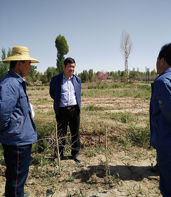 集团公司总裁谢永生到公司黑枸杞莳植基地及项目树模区检查指导事情 - bevictor伟德官网新闻 - 新闻中心 - nbsp,树模区,项目,枸杞,莳植,基地,永生,谢永生,公司