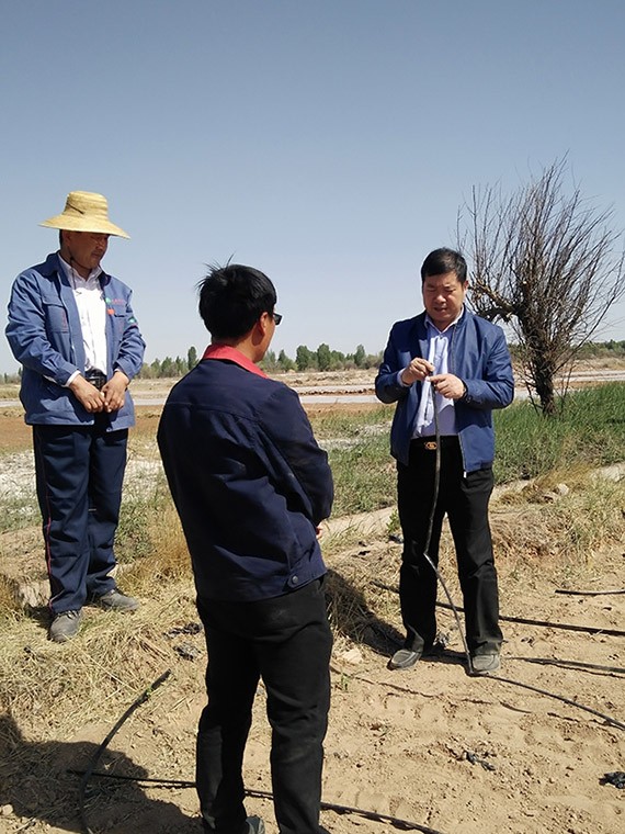 集团公司总裁谢永生到公司黑枸杞莳植基地及项目树模区检查指导事情 - bevictor伟德官网新闻 - 新闻中心 - nbsp,树模区,项目,枸杞,莳植,基地,永生,谢永生,公司