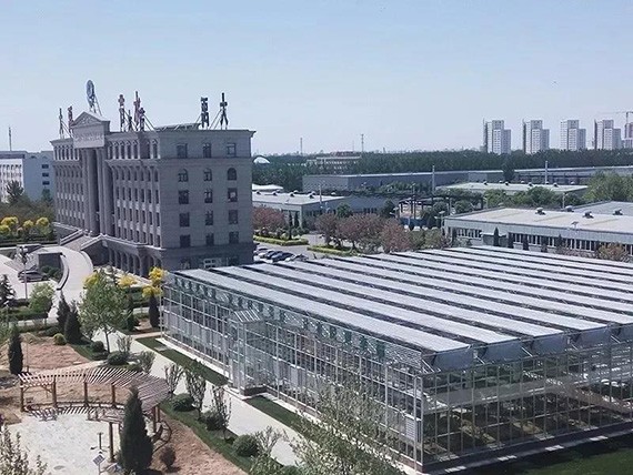 bevictor伟德官网节水现代生态农业树模园完工 天津市政府观摩团莅临考察 - bevictor伟德官网新闻 - 新闻中心 - nbsp,bevictor伟德官网,节水,集团,农业,树模园,都会,智慧,农村