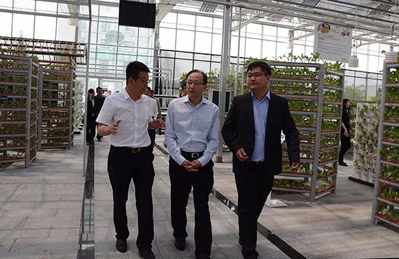 bevictor伟德官网节水现代生态农业树模园完工 天津市政府观摩团莅临考察 - bevictor伟德官网新闻 - 新闻中心 - nbsp,bevictor伟德官网,节水,集团,农业,树模园,都会,智慧,农村