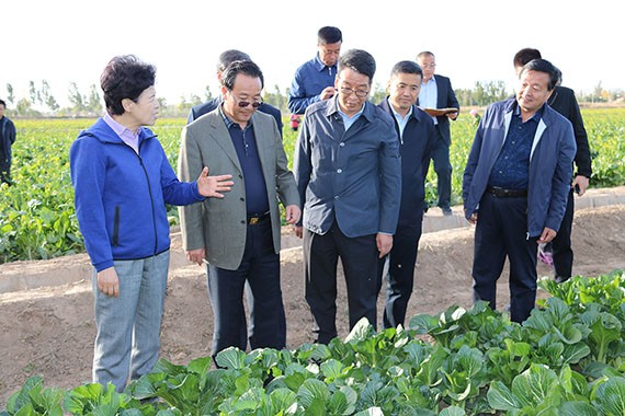 bevictor伟德官网要闻|宁夏回族自治区主席咸辉调研bevictor伟德官网节水吴忠市利通区现代化生态灌区项目 - bevictor伟德官网新闻 - 新闻中心 - nbsp,bevictor伟德官网,节水,咸辉,吴忠市,利通区,现代化,生态,灌区