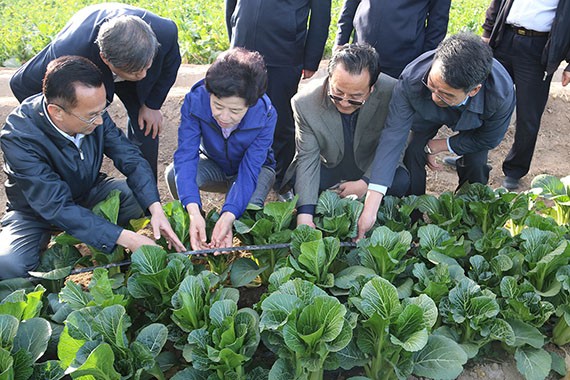 bevictor伟德官网要闻|宁夏回族自治区主席咸辉调研bevictor伟德官网节水吴忠市利通区现代化生态灌区项目 - bevictor伟德官网新闻 - 新闻中心 - nbsp,bevictor伟德官网,节水,咸辉,吴忠市,利通区,现代化,生态,灌区