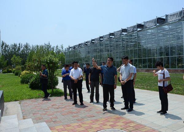 甘肃省农科院院长马忠明一行莅临bevictor伟德官网节水集团调研现代农业生长事情 - bevictor伟德官网新闻 - 新闻中心 - 调研,农科院,bevictor伟德官网,节水,集团,nbsp,农业生长,甘肃省,现代
