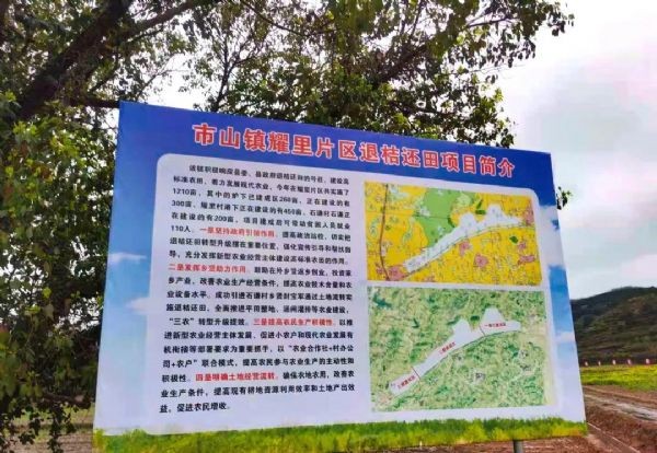 bevictor伟德官网动态| 江西省副省长陈小平莅临bevictor伟德官网节水南丰高标准农田项目树模区调研指导 - bevictor伟德官网新闻 - 新闻中心 - nbsp,bevictor伟德官网,农田,节水,项目,高标准,小平,南丰,调研