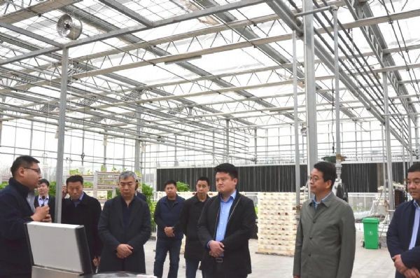 bevictor伟德官网动态| 天津市农业农村委副主任王志林与恒蔬无疆农业生长集团董事长桑毅振一同莅临bevictor伟德官网节水 共话天津设施农业生长与未来 - bevictor伟德官网新闻 - 新闻中心 - 集团,bevictor伟德官网,nbsp,节水,农业,农业生长,恒蔬,无疆,董事长