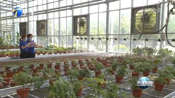 天津卫视报道｜ “滴水是金，，，节水为津”bevictor伟德官网节水为推动天津节水型都会建设孝顺实力 - bevictor伟德官网新闻 - 新闻中心 - 节水,nbsp,bevictor伟德官网,天津,农业,推动,节水型,都会建设,智慧