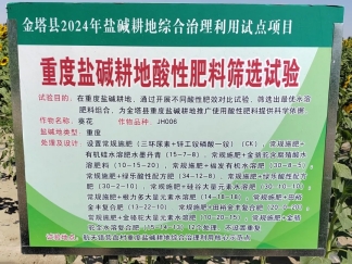 bevictor伟德官网农业| 多元化莳植基地矩阵，，，，，，探索农业现代化新路径 - bevictor伟德官网新闻 - 新闻中心 - 莳植,基地,bevictor伟德官网,nbsp,农业,探索,节水,盐碱地,土地