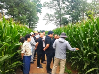 bevictor伟德官网农业| 多元化莳植基地矩阵，，，，，，探索农业现代化新路径 - bevictor伟德官网新闻 - 新闻中心 - 莳植,基地,bevictor伟德官网,nbsp,农业,探索,节水,盐碱地,土地
