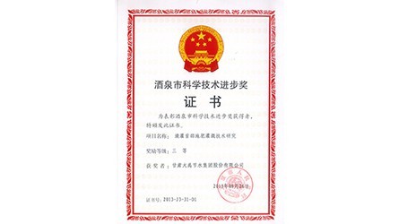 酒泉市科学手艺前进三等奖
