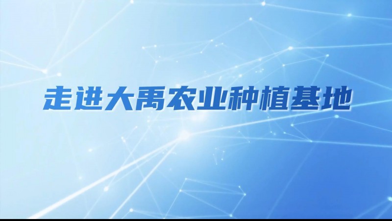 bevictor伟德官网农业| 多元化莳植基地矩阵，，，，，探索农业现代化新路径