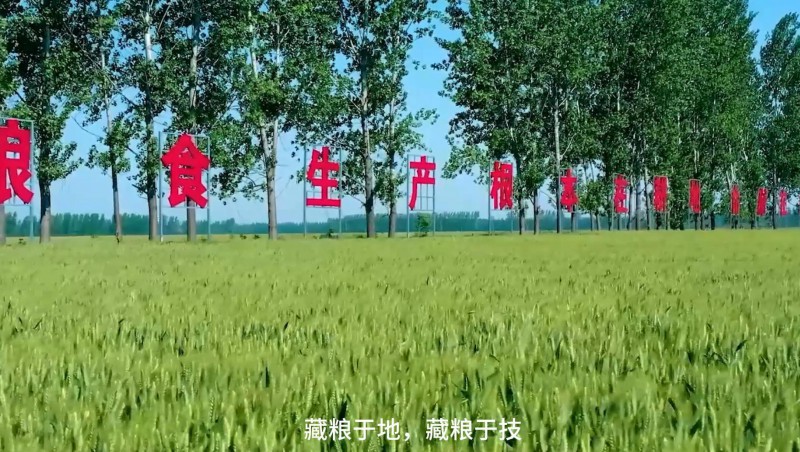 bevictor伟德官网节水：破解高标准农田建设难题，，扛牢粮食清静重担，，以科技与责任交出了一份立异答卷。。。